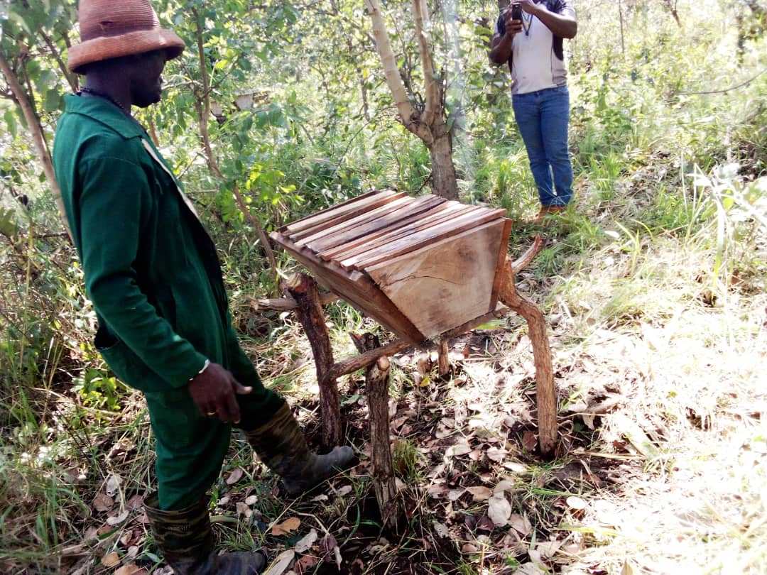 KTBH's are placed on stands to protect the bees from ants and the hives themselves from termites. The legs of the stands are usually treated with the dregs from shea butter production which helps to prevent insects from ascending.