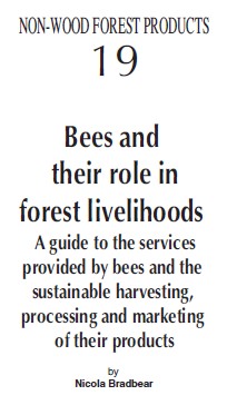 bees_and_their_role_in_forest_livelihoods.jpg