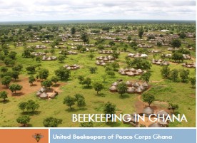 ghana_beekeeping_peace_corps_slide_show.jpg