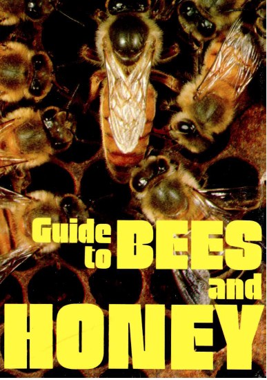 guide_to_bees_honey.jpg