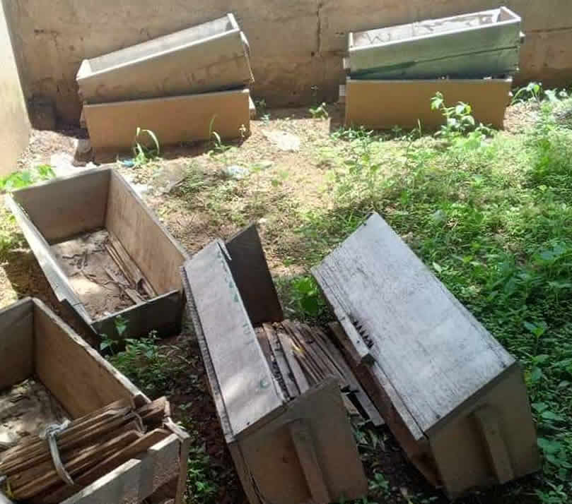 Abandoned hives