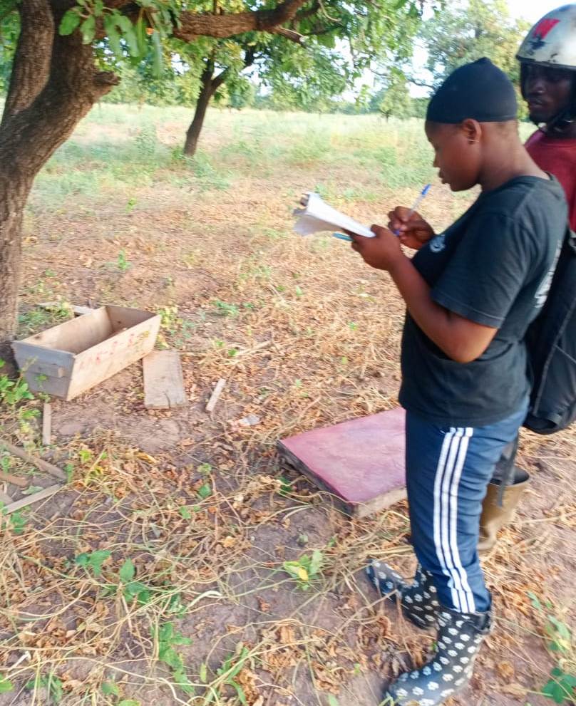 recording hive conditions