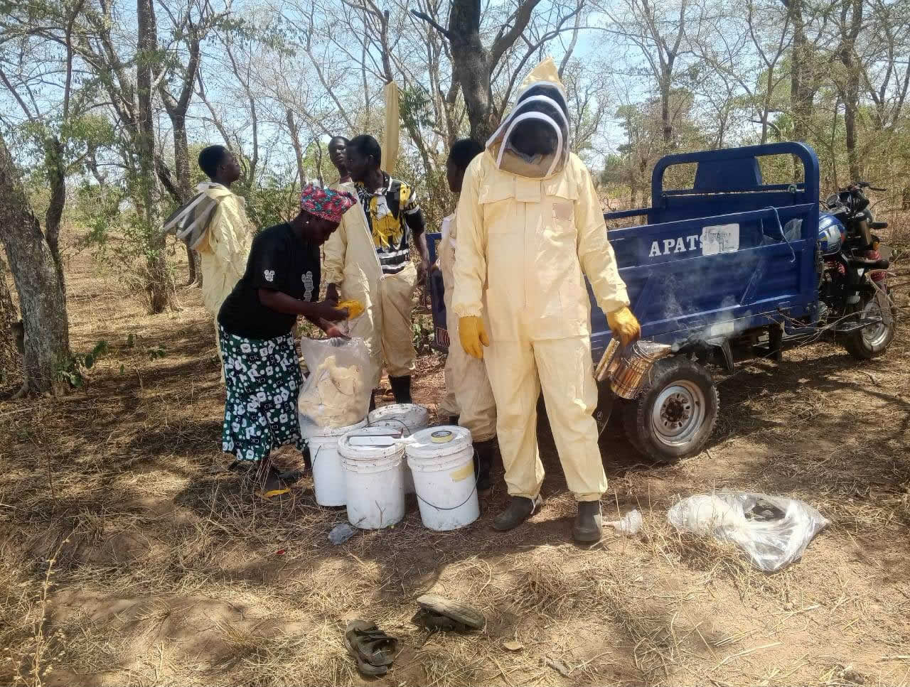 beekeeper training delivery