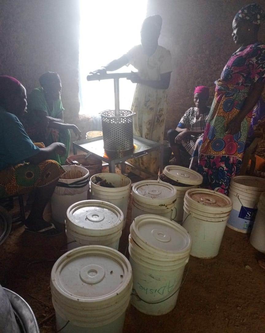honey processing demonstration