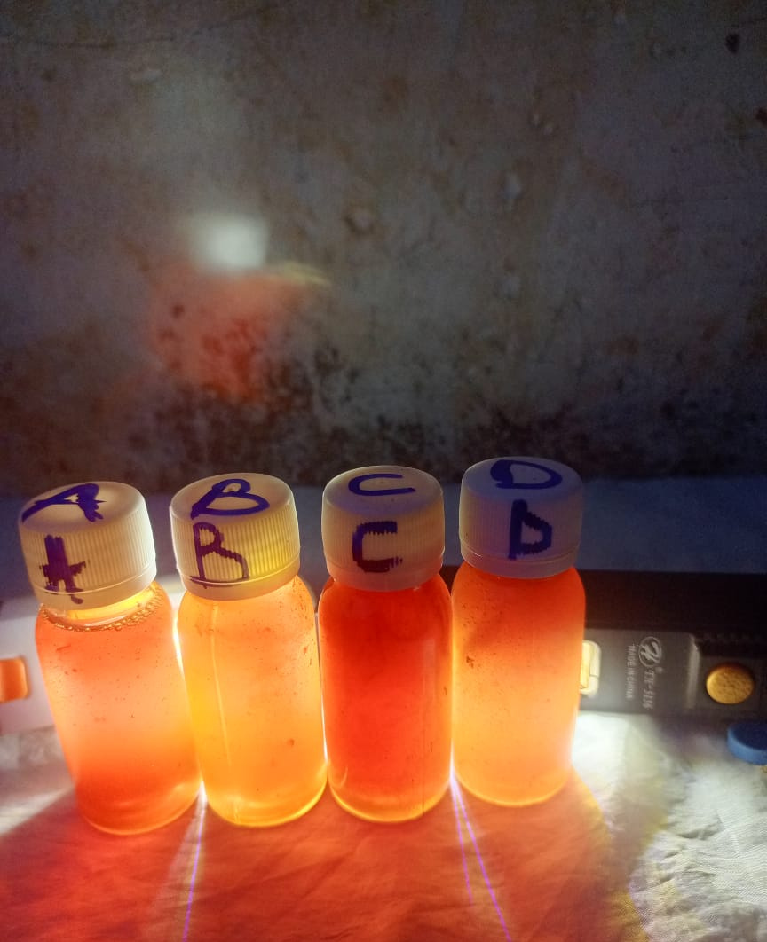 2026-04-30_honey_samples_graded.jpg
